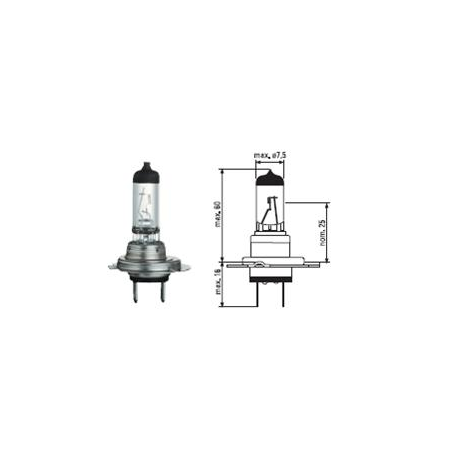 H7 LONG LIFE - 24V - 70W - PX26d - GE